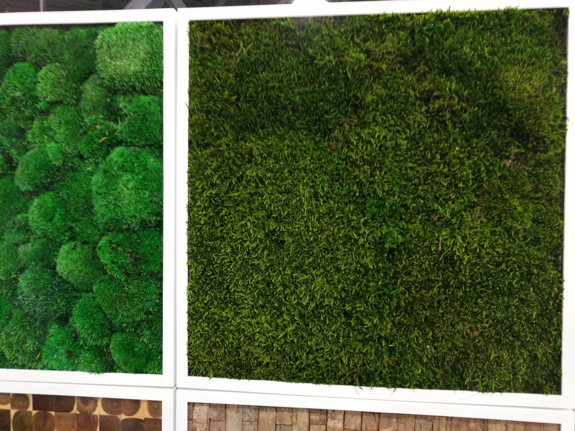 12 x 24 Moss Wall Art Panel Kit - Botanicus Green